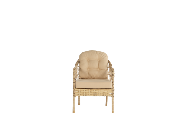 Caren Garden Armchair