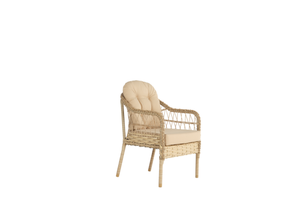 Caren Garden Armchair