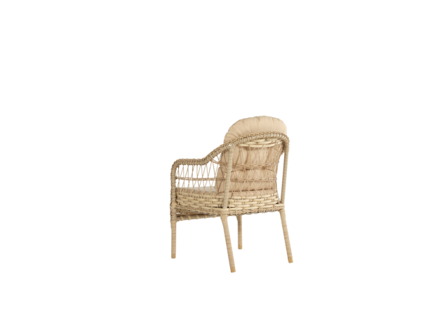 Caren Garden Armchair