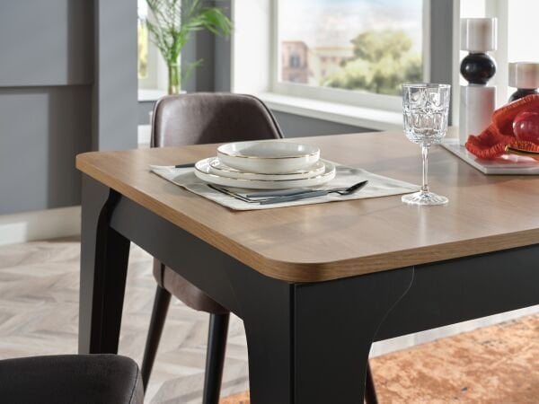 Vista Foldout Table
