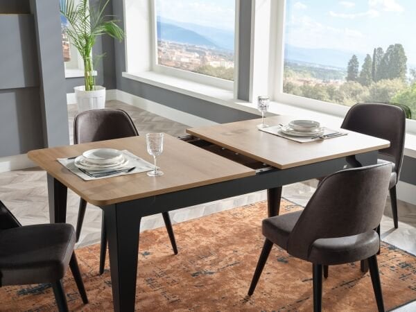 Vista Foldout Table