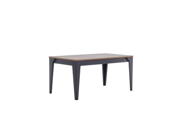 Vista Foldout Table