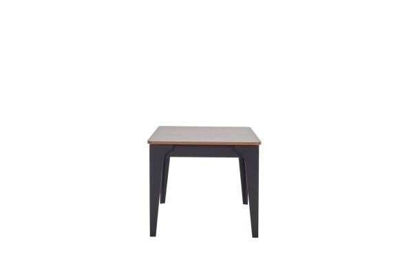 Vista Fixed Table