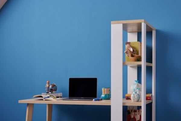 Lagos Study Desk - Anthracite Walnut