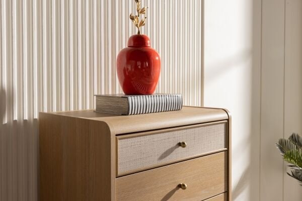 Mitra Dresser