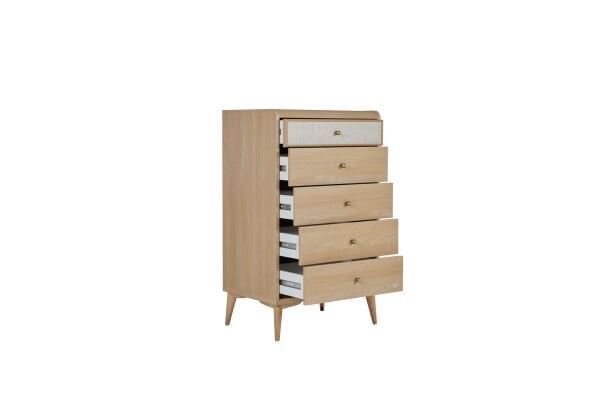 Mitra Dresser