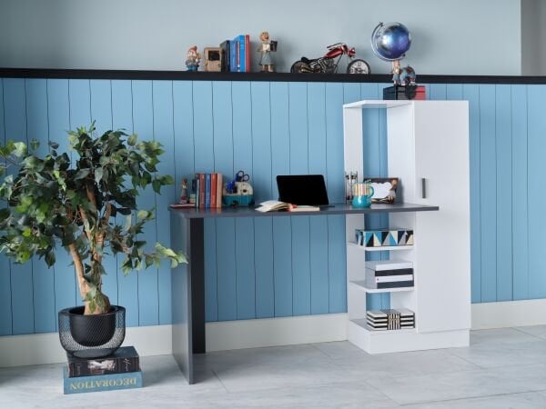 Snow Study Desk - Anthracite