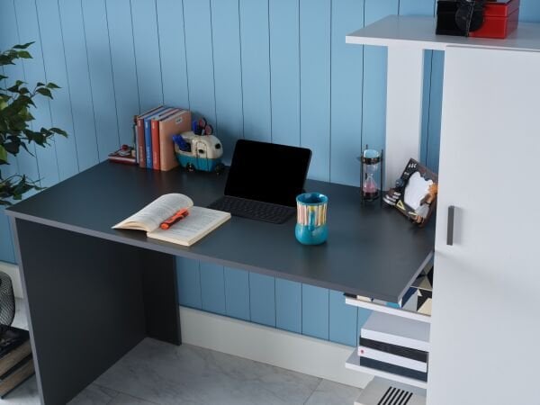 Snow Study Desk - Anthracite