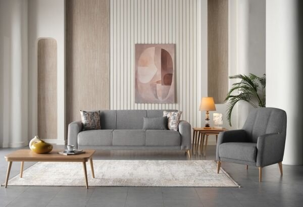 Alin Koltuk Takımı