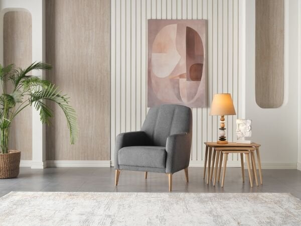 Alin Koltuk Takımı