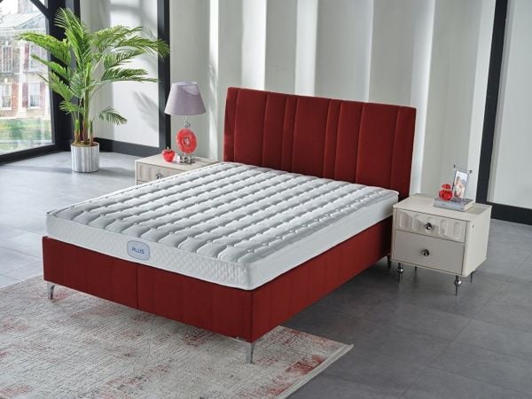 Sleep Plus Mattress