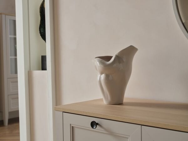 Fiona Console