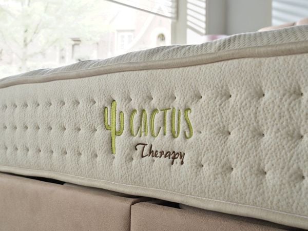 Cactus Therapy Yatak 90X190