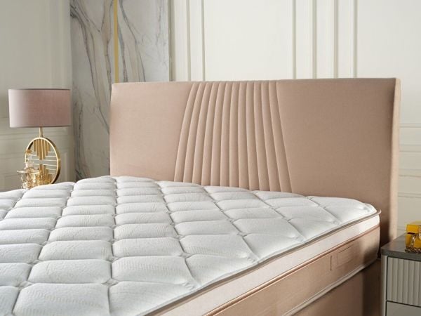 Nova Başlık 160 - Açık Vizon