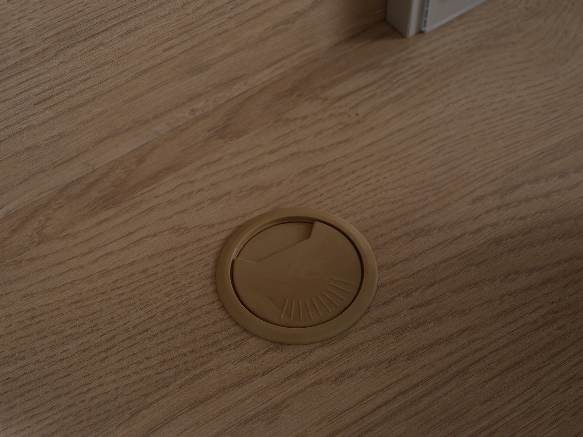 Borneo Çalışma Masası